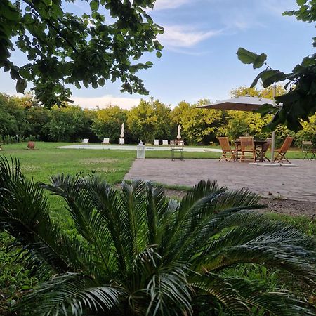 Agriturismo Terre Di Nelio Vignanello Eksteriør bilde