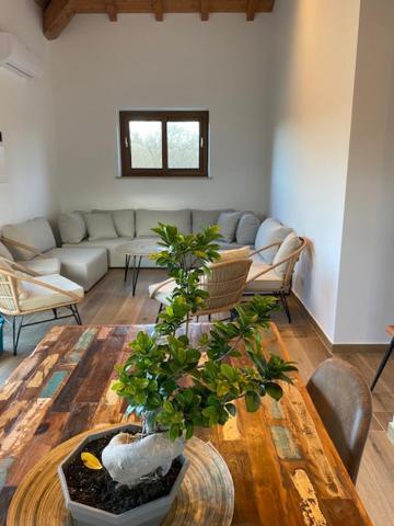 Agriturismo Terre Di Nelio Vignanello Eksteriør bilde
